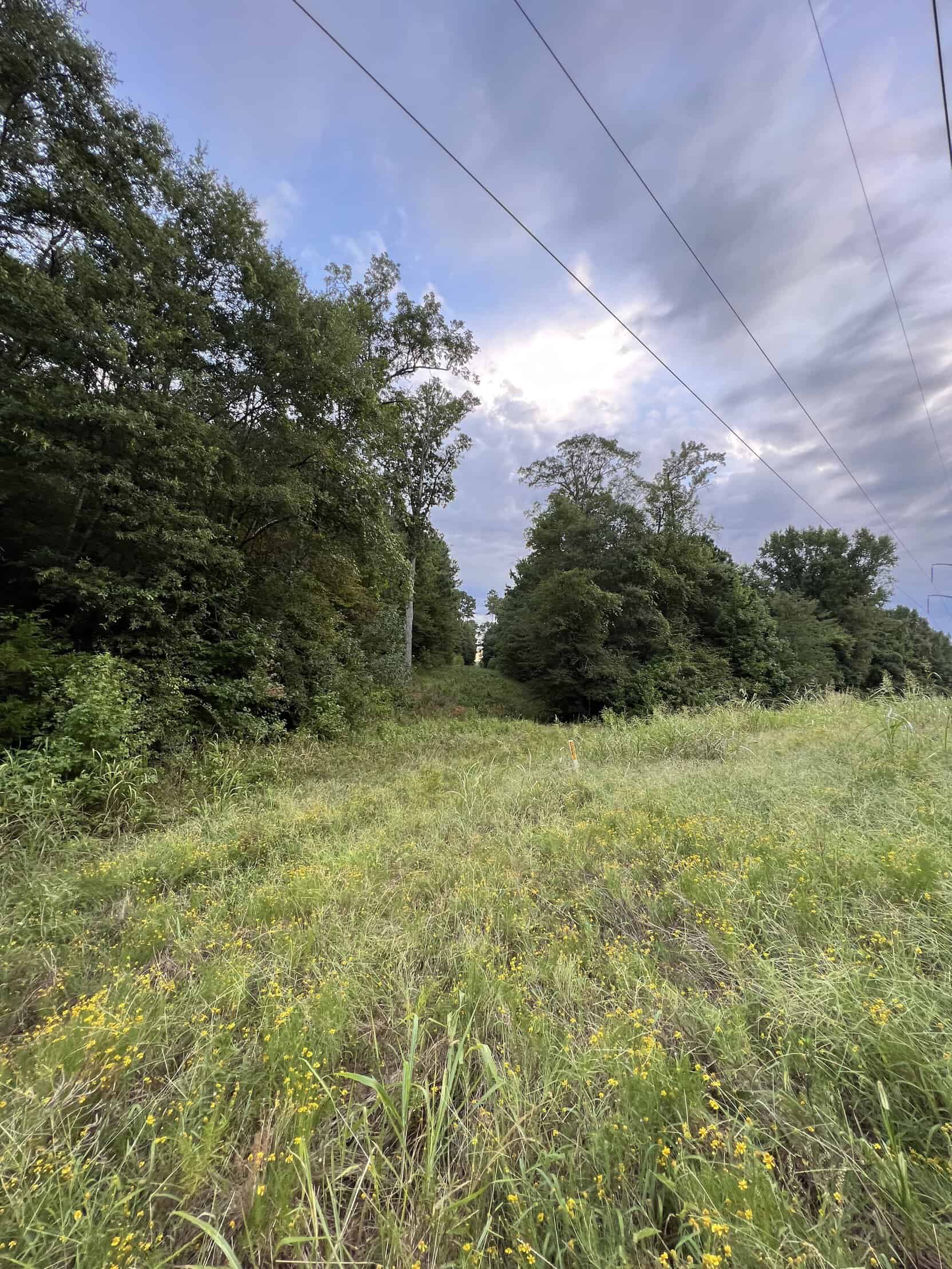 700 Acres Land for Sale Lincoln Parish, LA