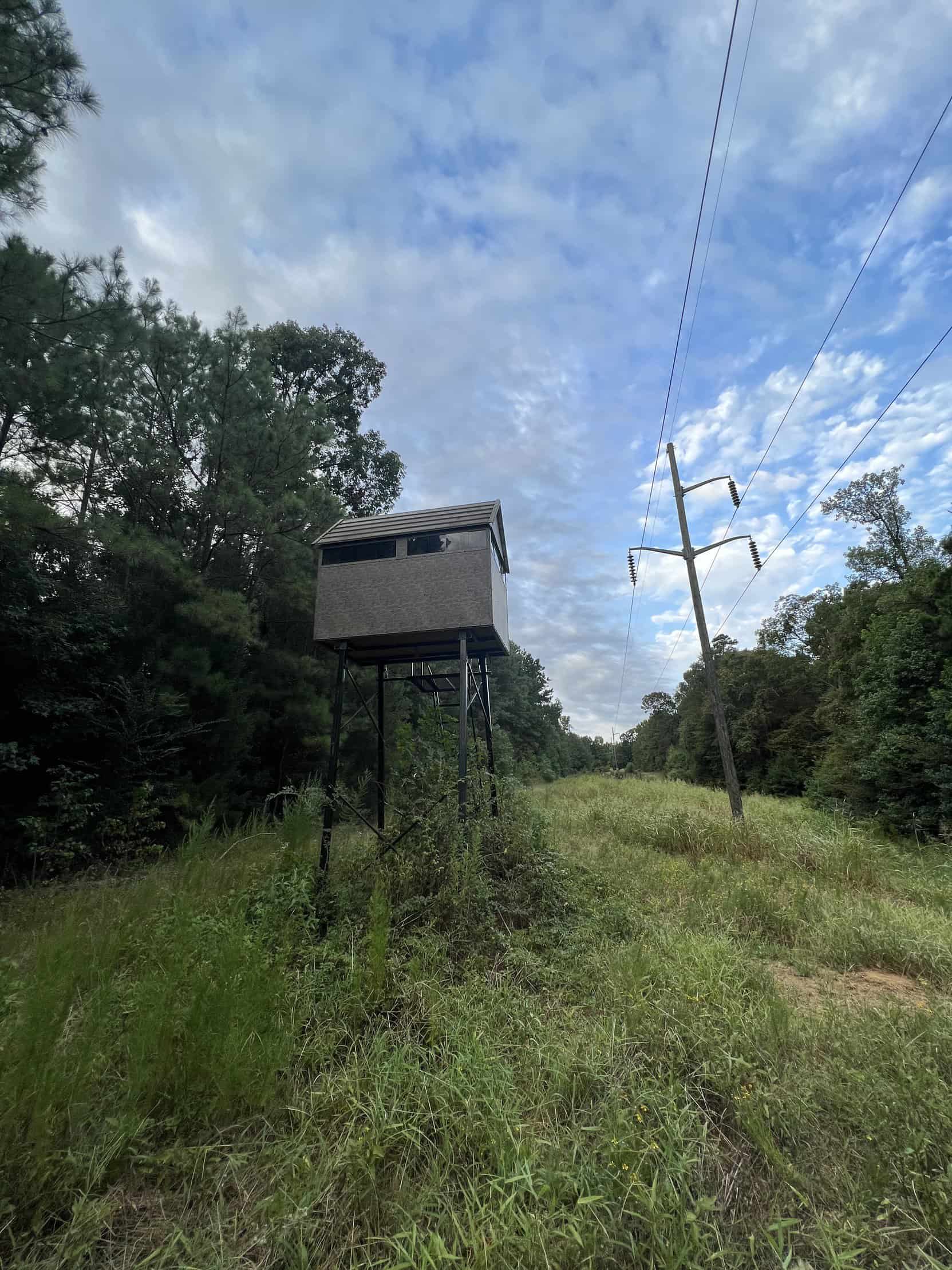 700 Acres Land for Sale Lincoln Parish, LA