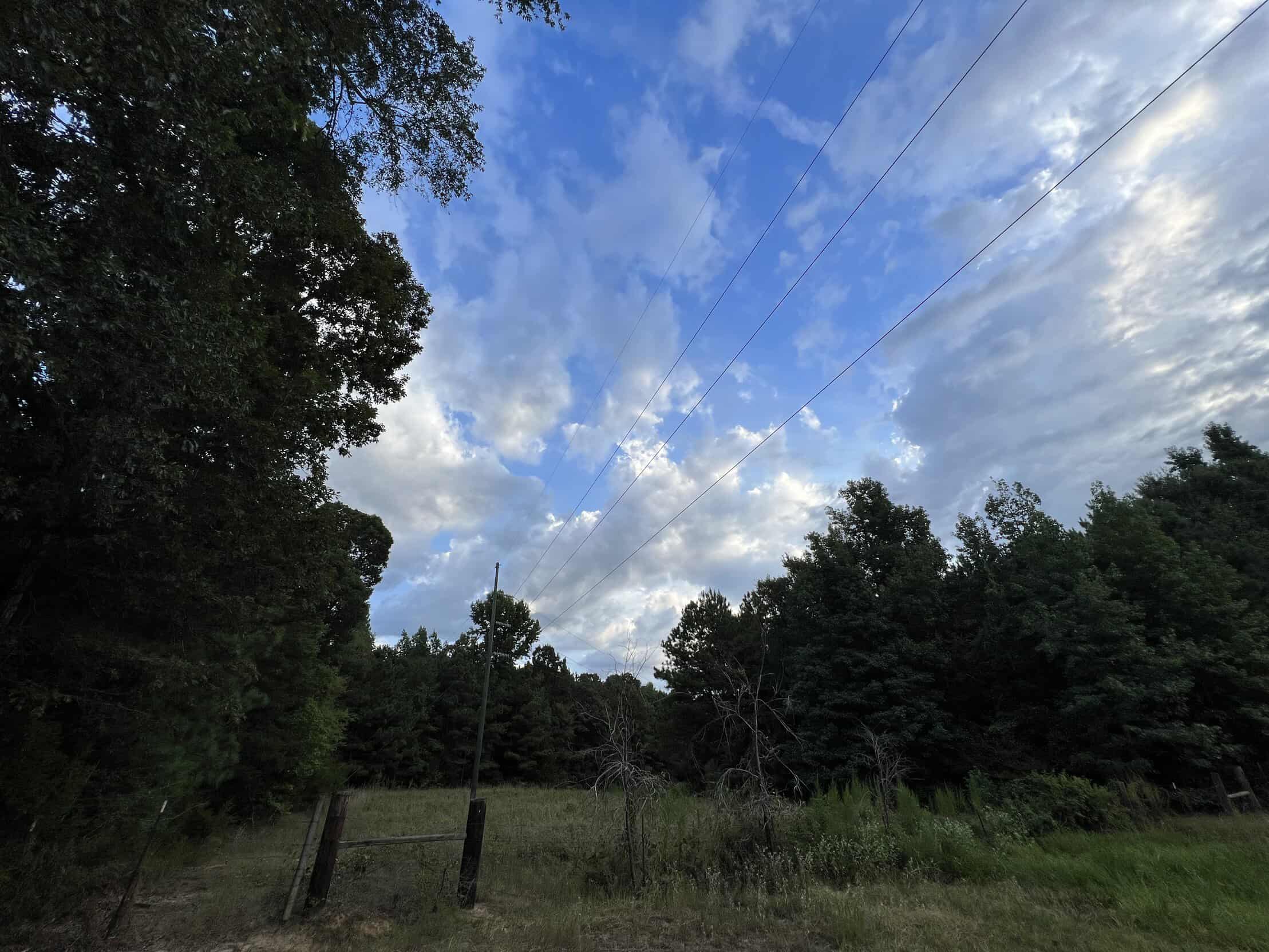 700 Acres Land for Sale Lincoln Parish, LA