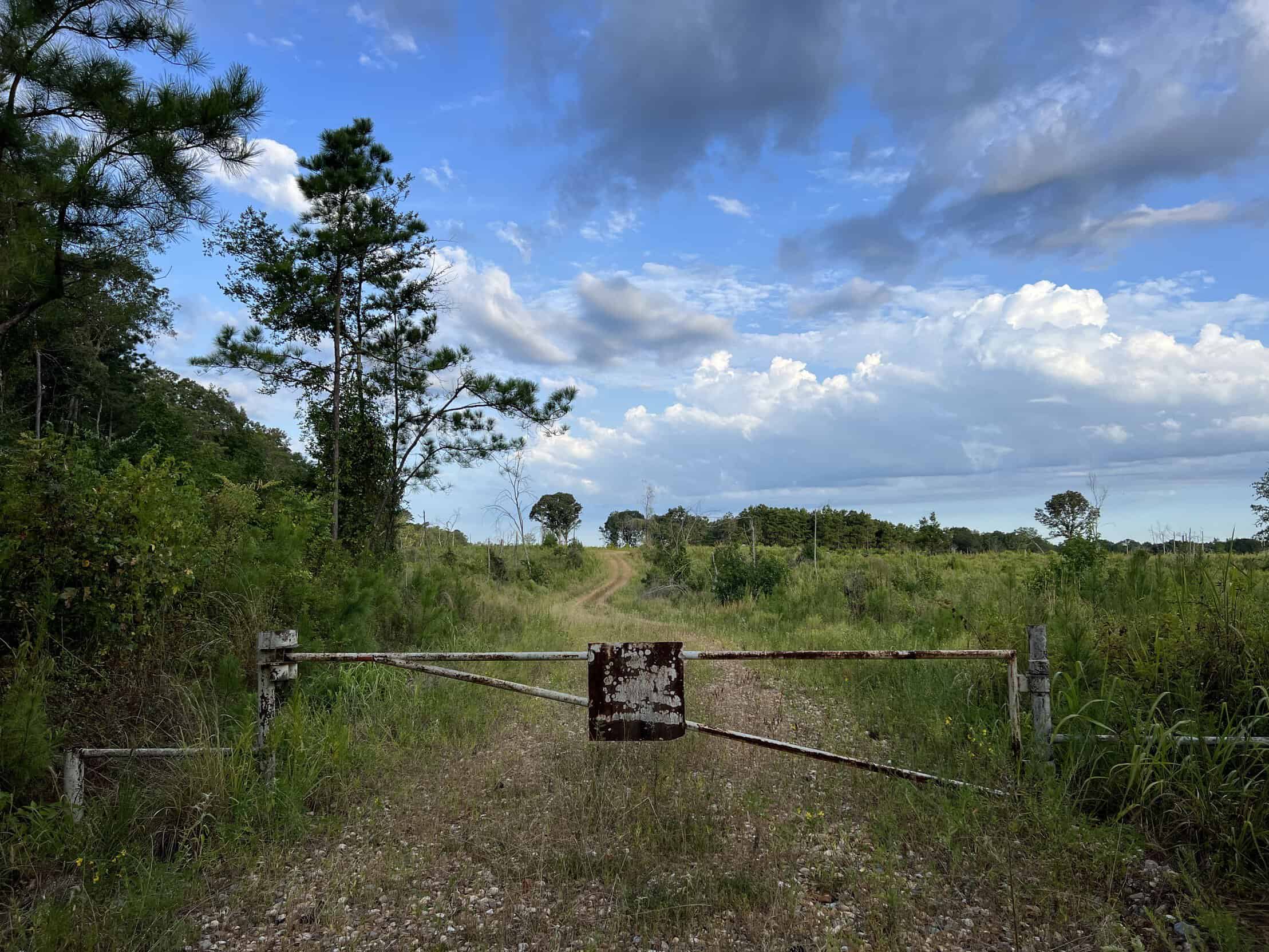 700 Acres Land for Sale Lincoln Parish, LA