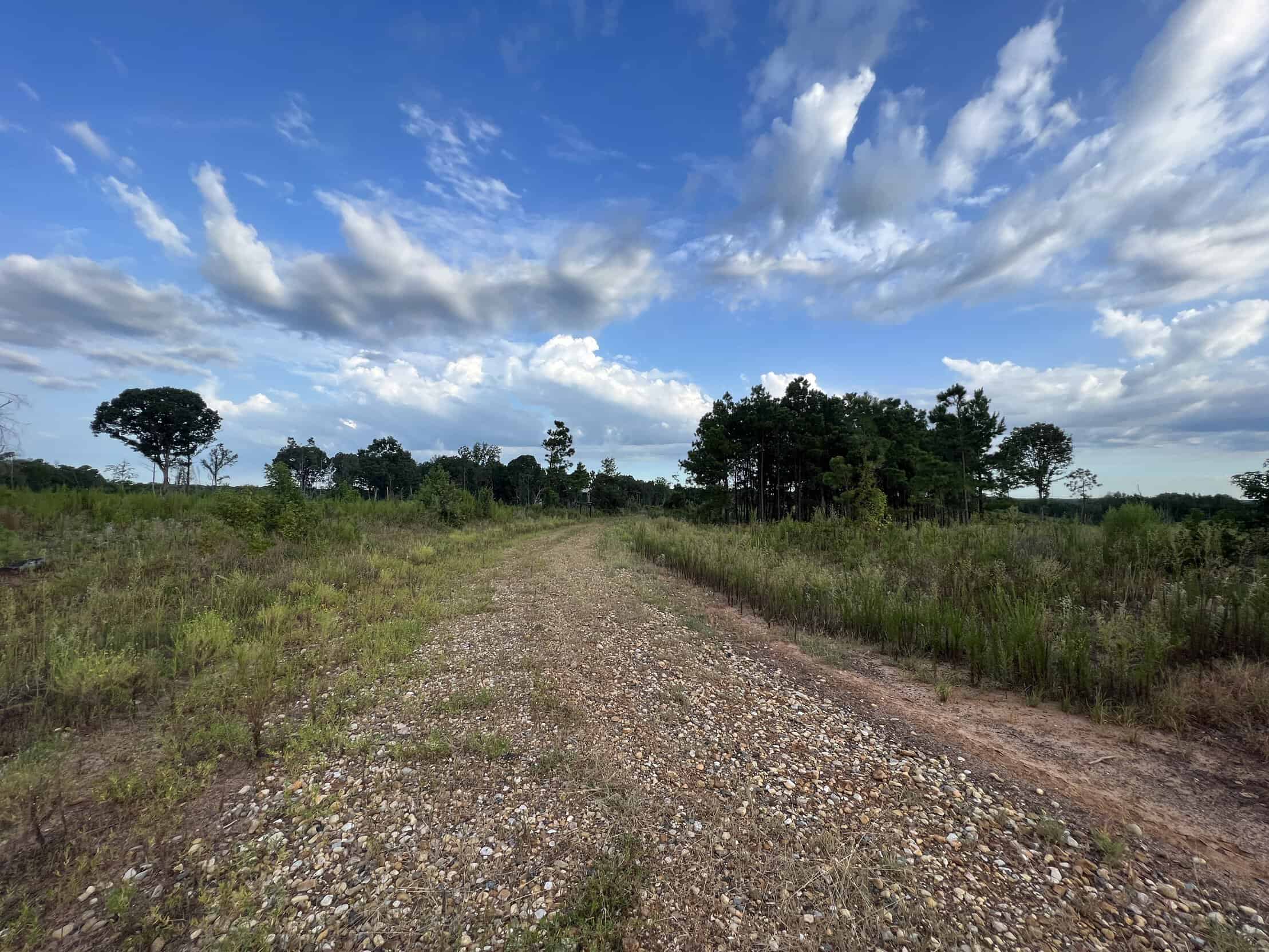 700 Acres Land for Sale Lincoln Parish, LA