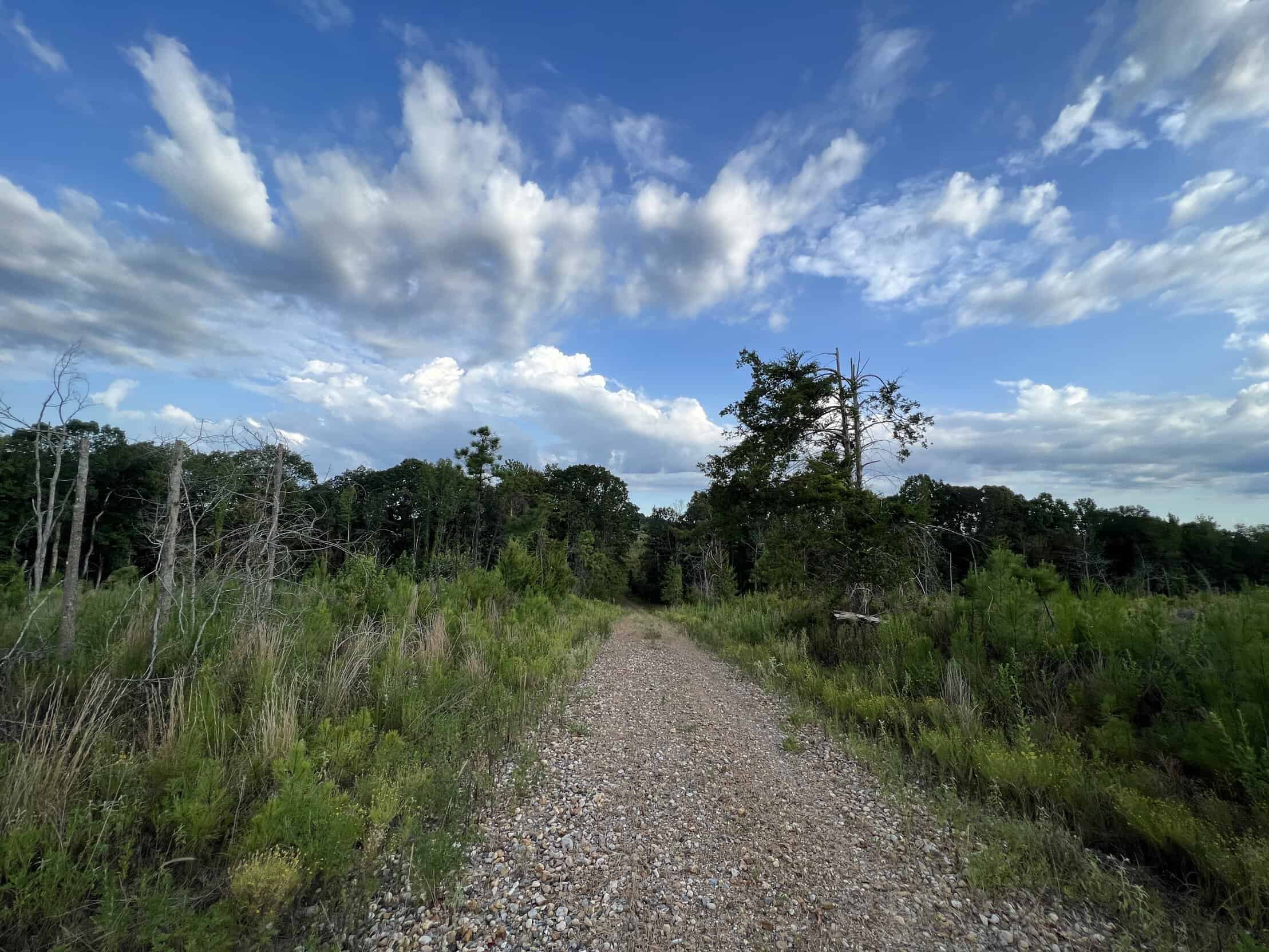 700 Acres Land for Sale Lincoln Parish, LA