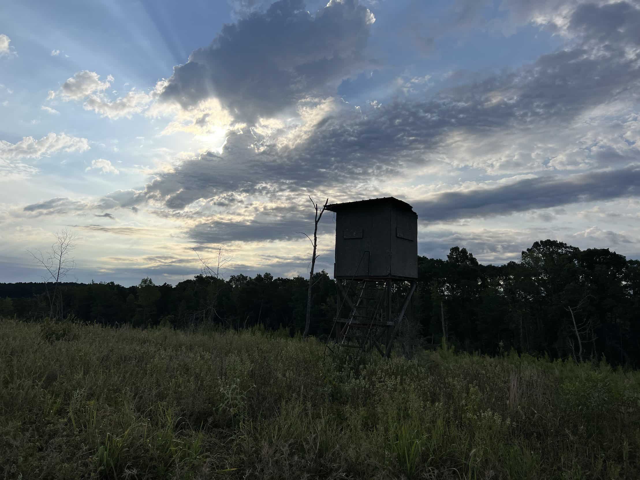 700 Acres Land for Sale Lincoln Parish, LA
