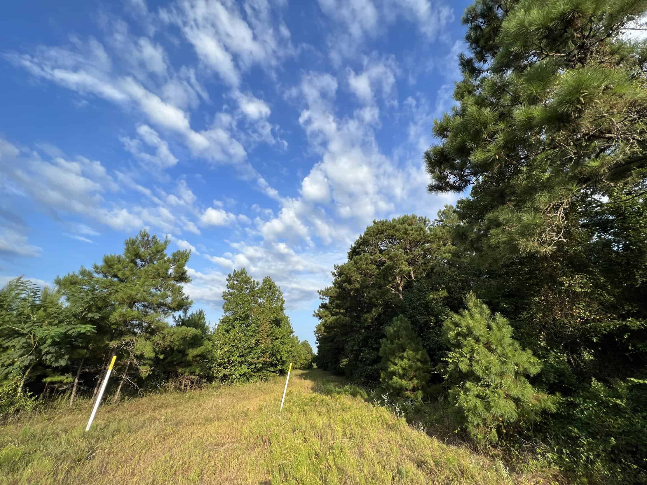 700 Acres Land for Sale Lincoln Parish, LA