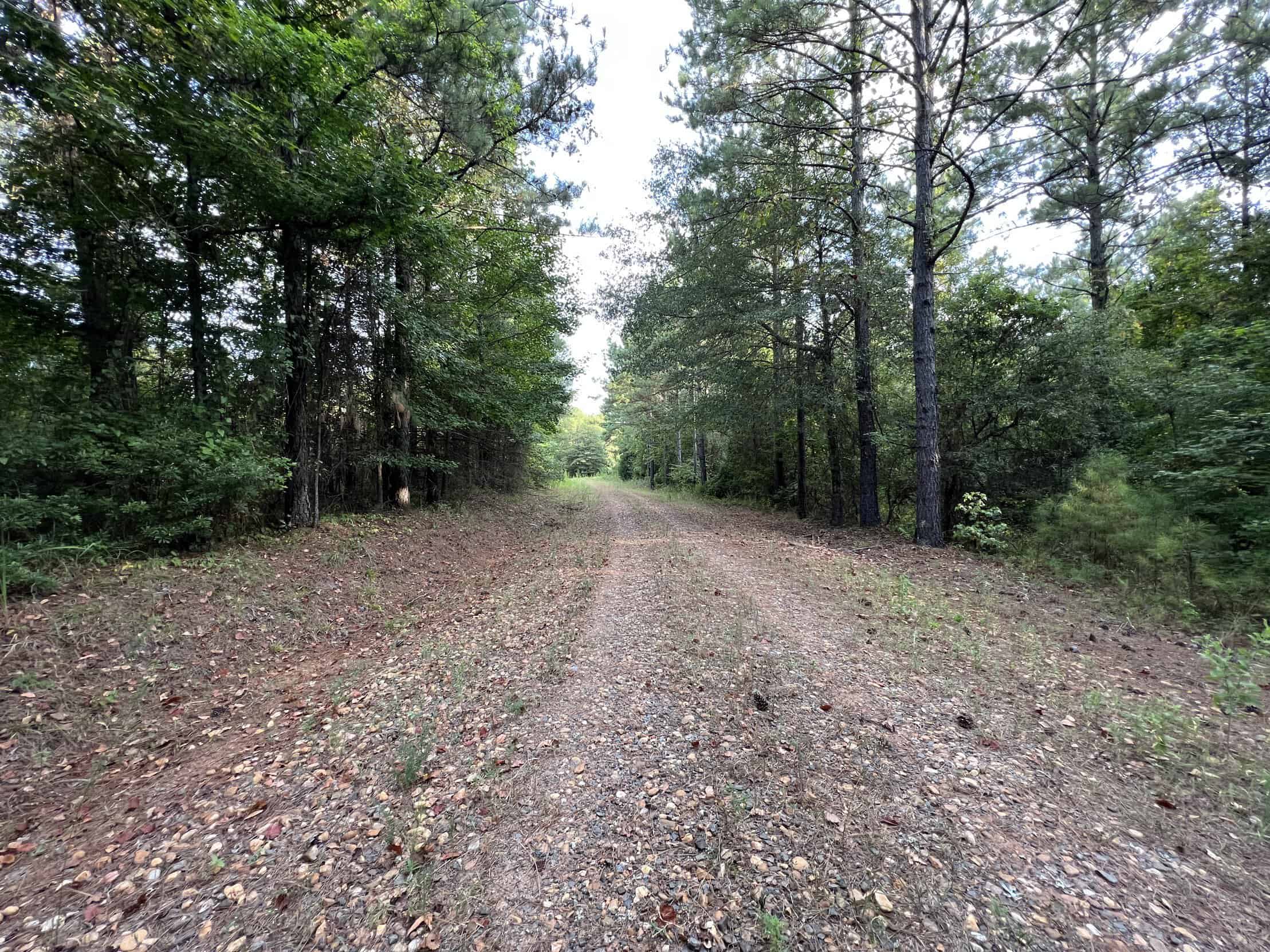 700 Acres Land for Sale Lincoln Parish, LA