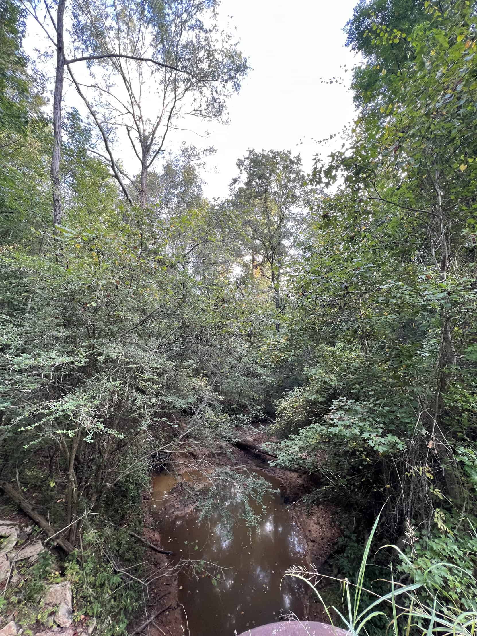 700 Acres Land for Sale Lincoln Parish, LA