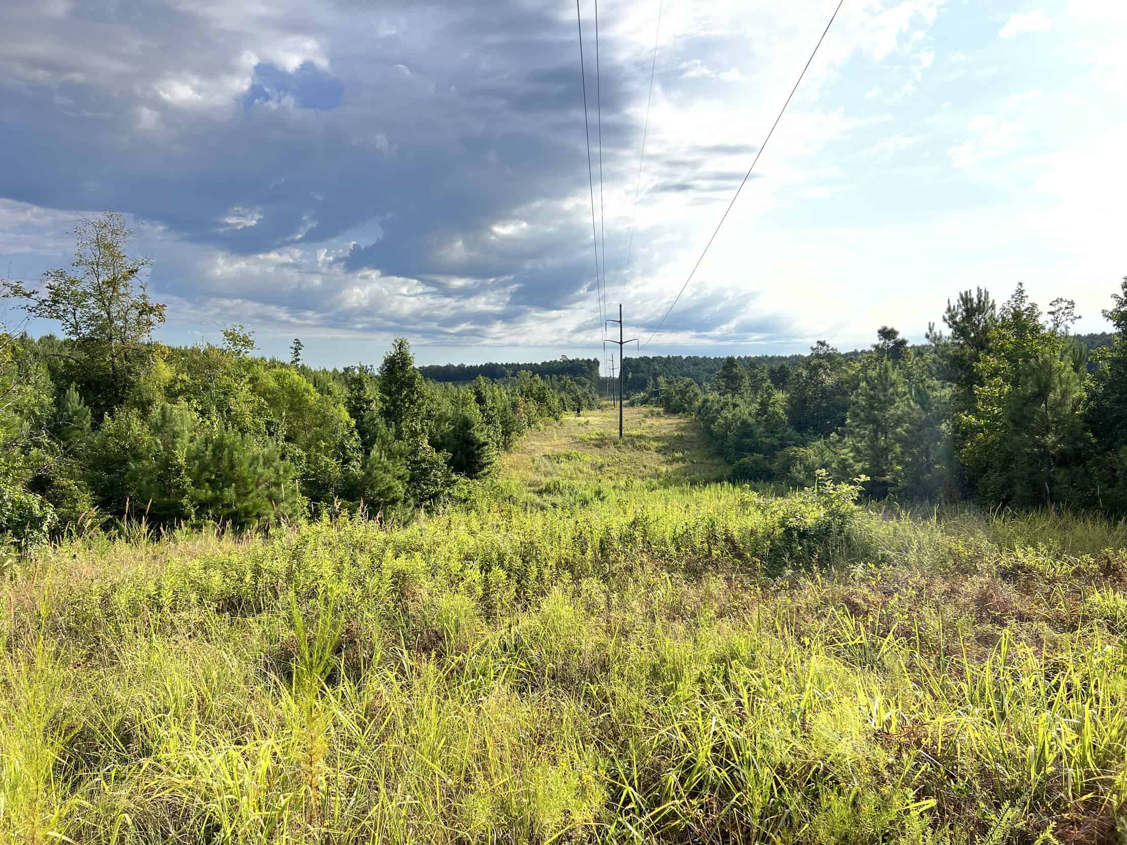 700 Acres Land for Sale Lincoln Parish, LA