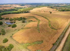 Investment Farmland with Recreational Benefits
