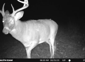 Hunting Camp with Land for Sale Near Castle Rock Lake