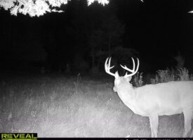 Prime 48+ Acre Parcel Monroe County