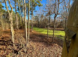 Hunting Land for Sale in Franklin County, MS