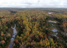 Escape to the Maine Woods – 22+ Acres of Remote Paradise