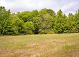 185+- Acres for Sale Claiborne County, MS