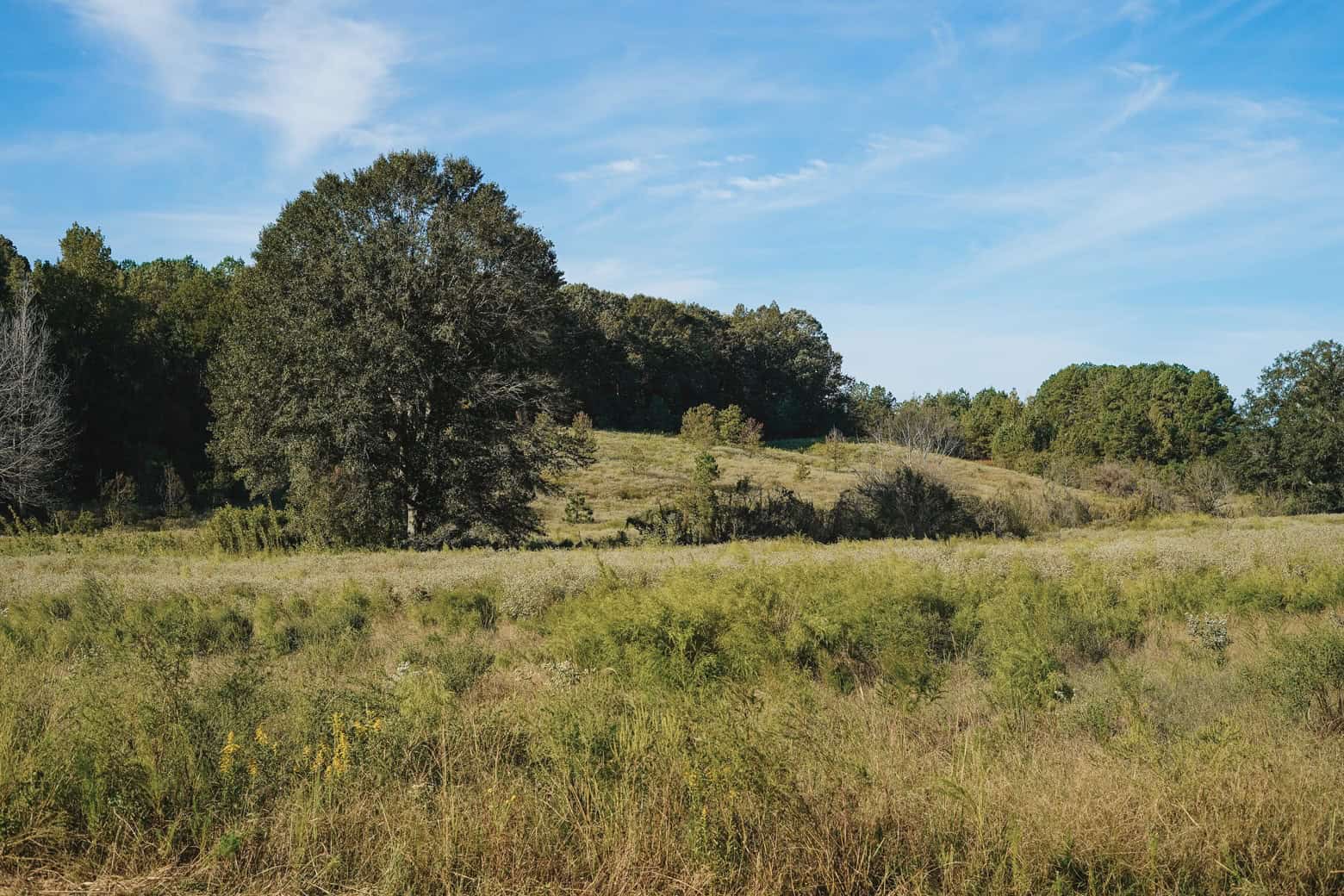 Parish Line 152