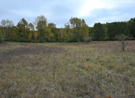 Big Buck Property in Mecosta County Michigan