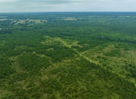 Waterfowl Hunting Land For Sale Southeast Oklahoma