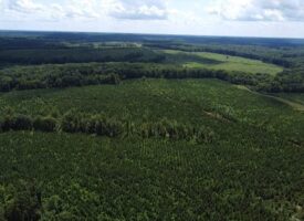 Calling All Hunters To Southern VA