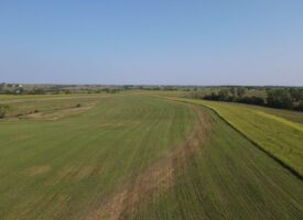 240 acre CRP Farm For Sale Clarke County Iowa