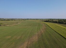 240 acre CRP Farm For Sale Clarke County Iowa