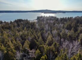 15 Acres of Maine Coastal Land