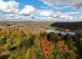 128± Acres of Riverfront Forest Land