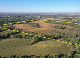 For Sale 154 Acres m/l Hunting/Income