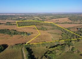 For Sale 67 Acres m/l Hunting/Income