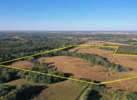 For Sale 87 Acres m/l Hunting/Income
