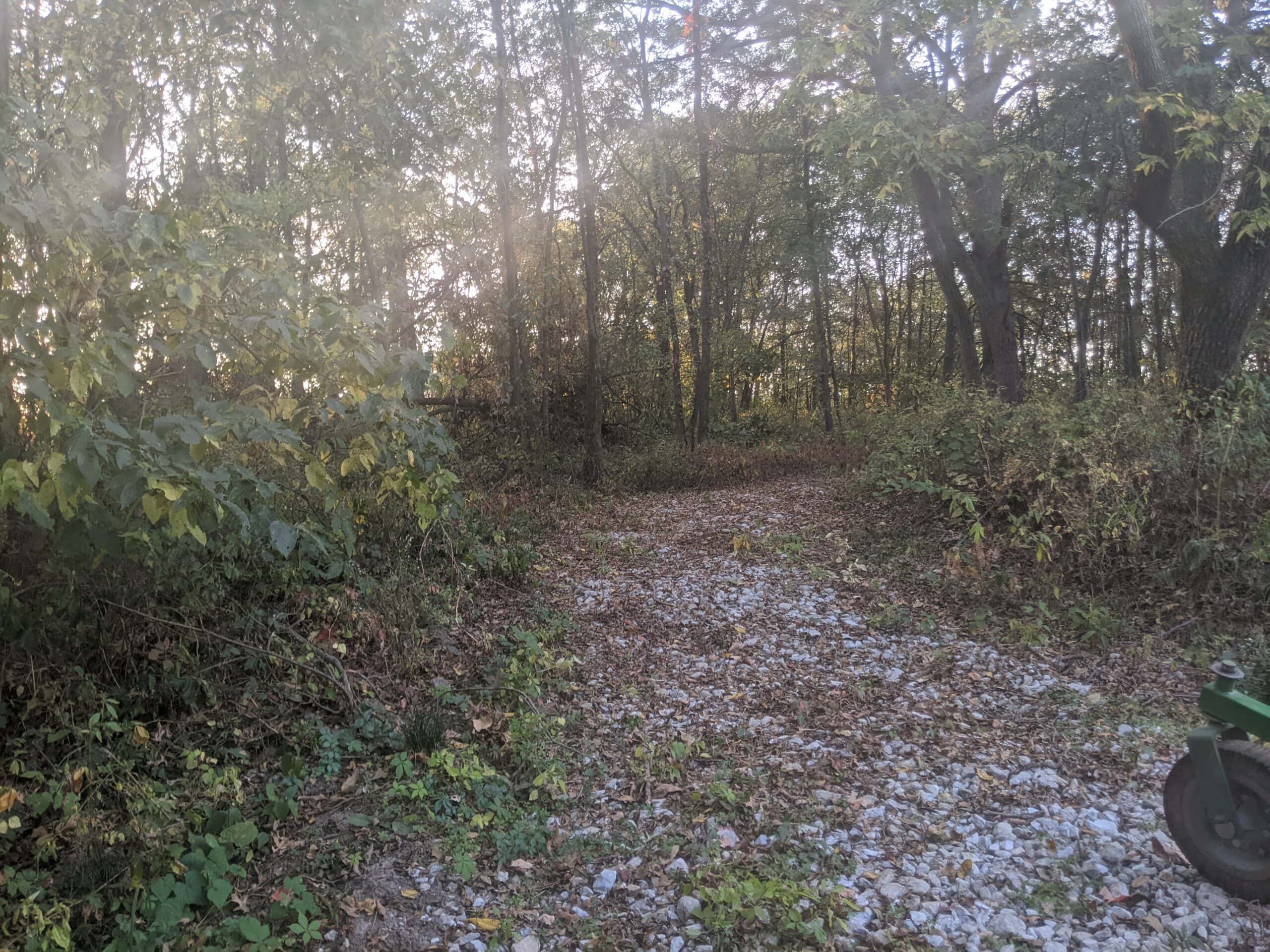 Small Acreage in Baring Missouri