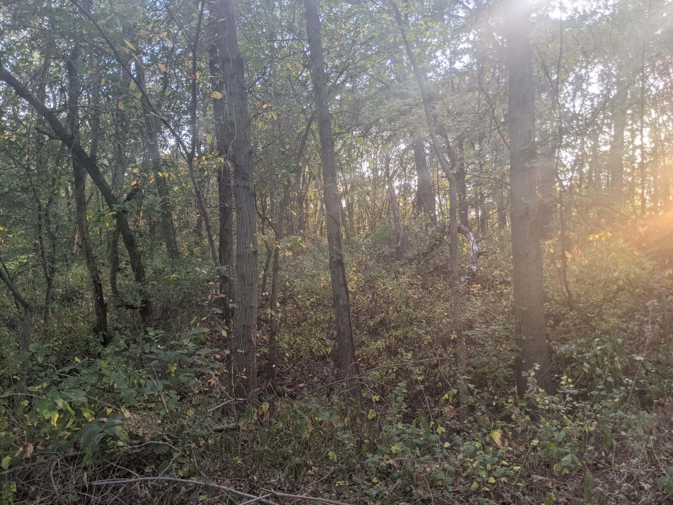 Small Acreage in Baring Missouri