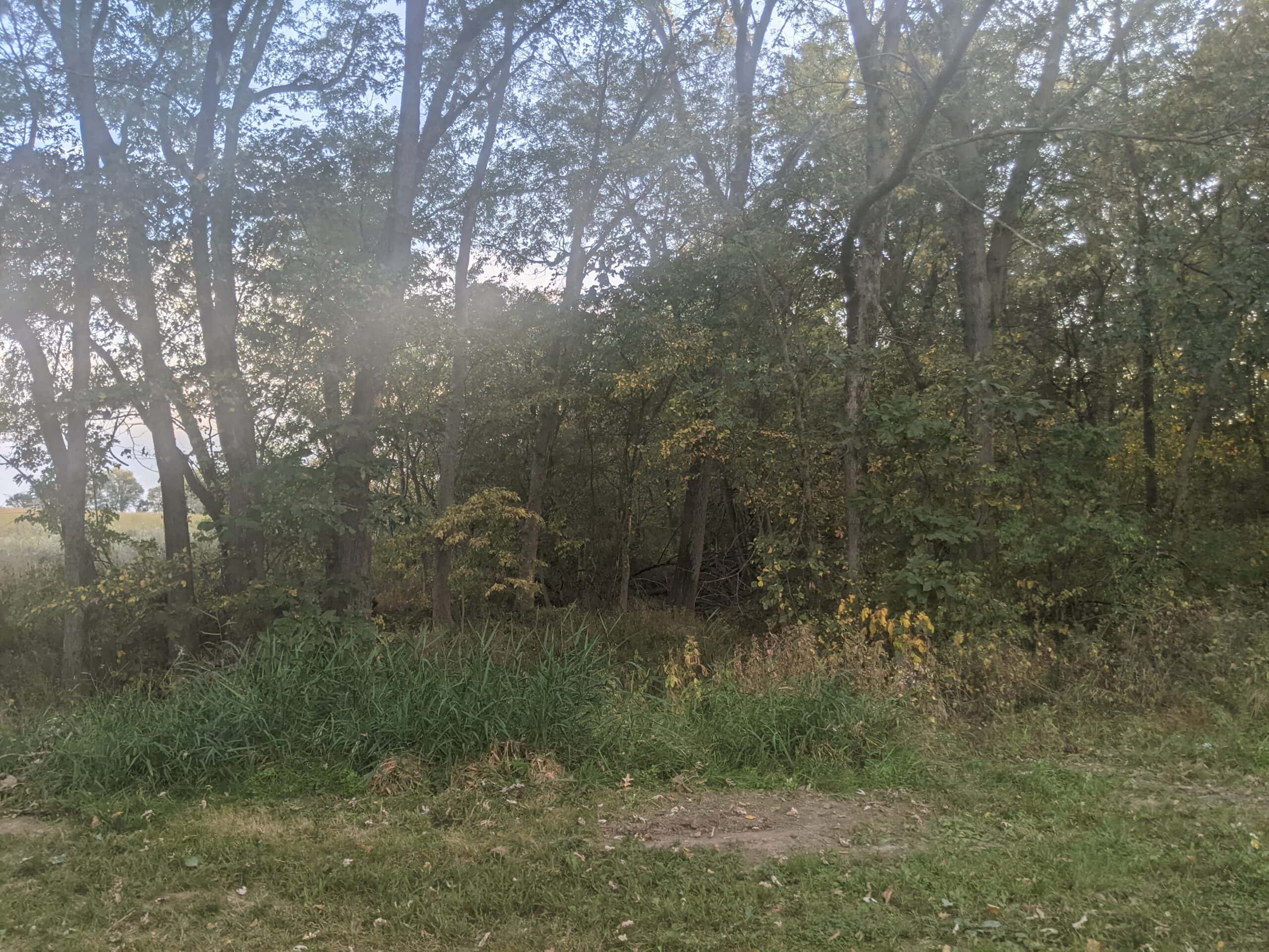 Small Acreage in Baring Missouri
