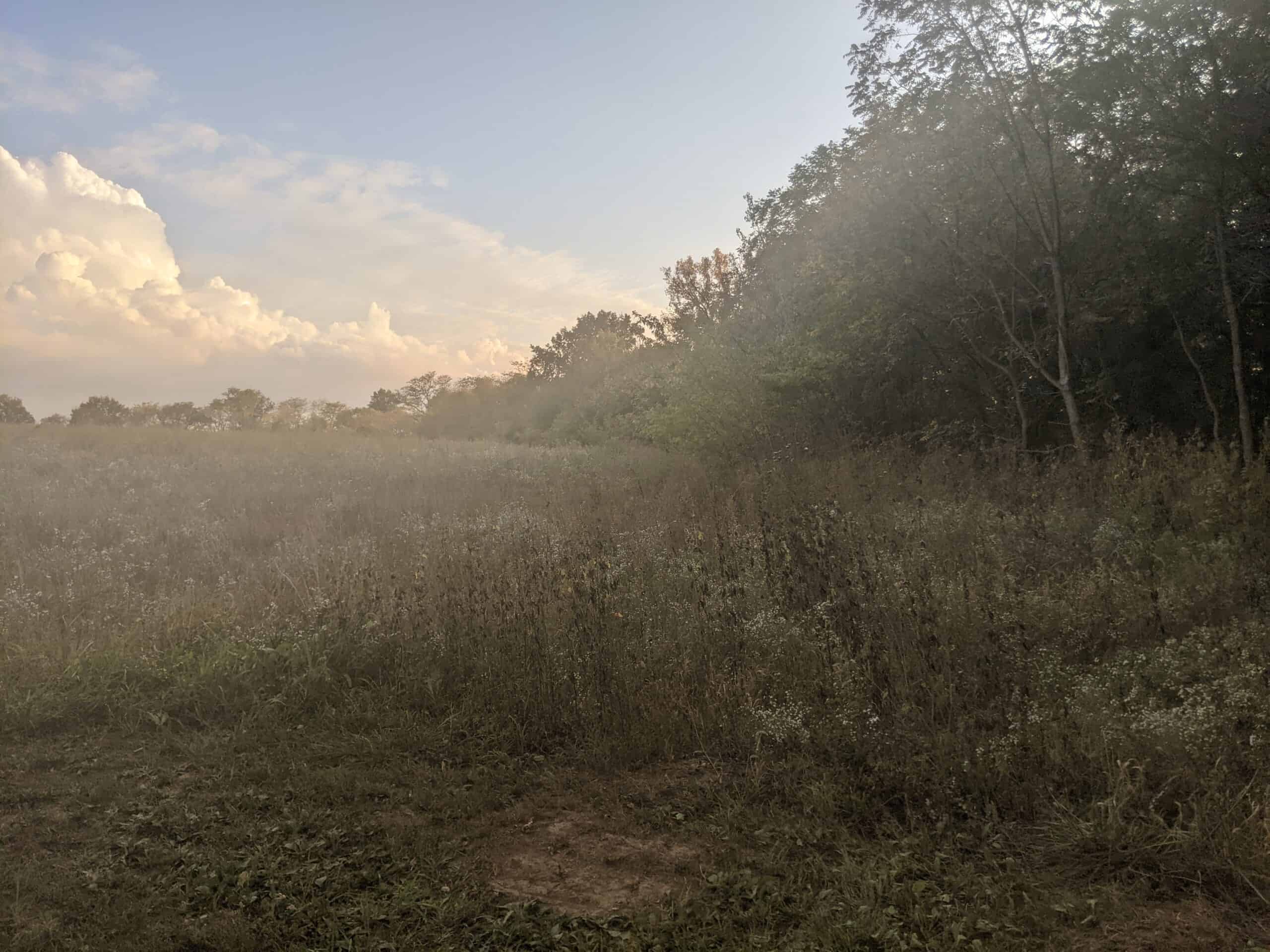 Small Acreage in Baring Missouri