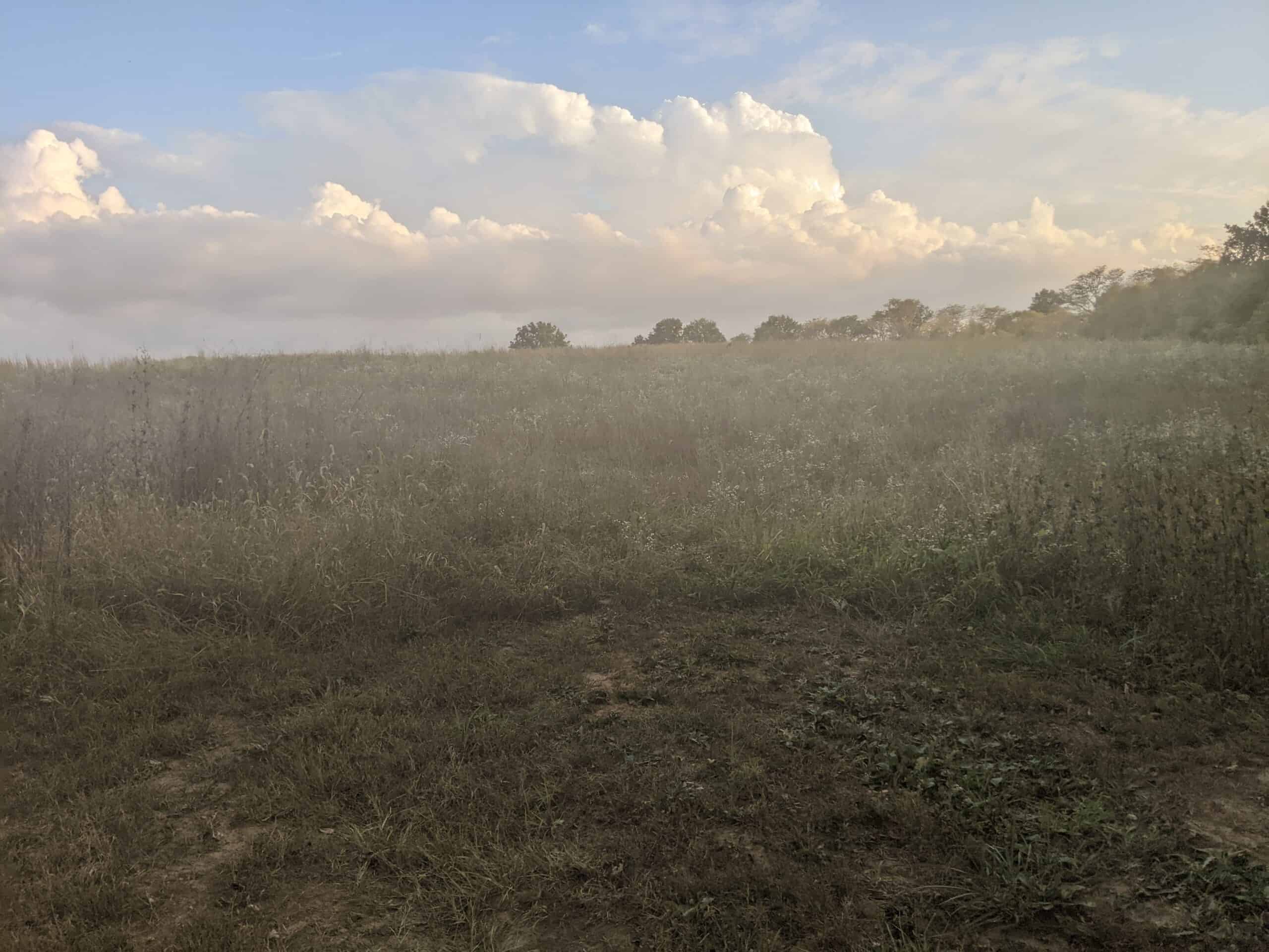 Small Acreage in Baring Missouri