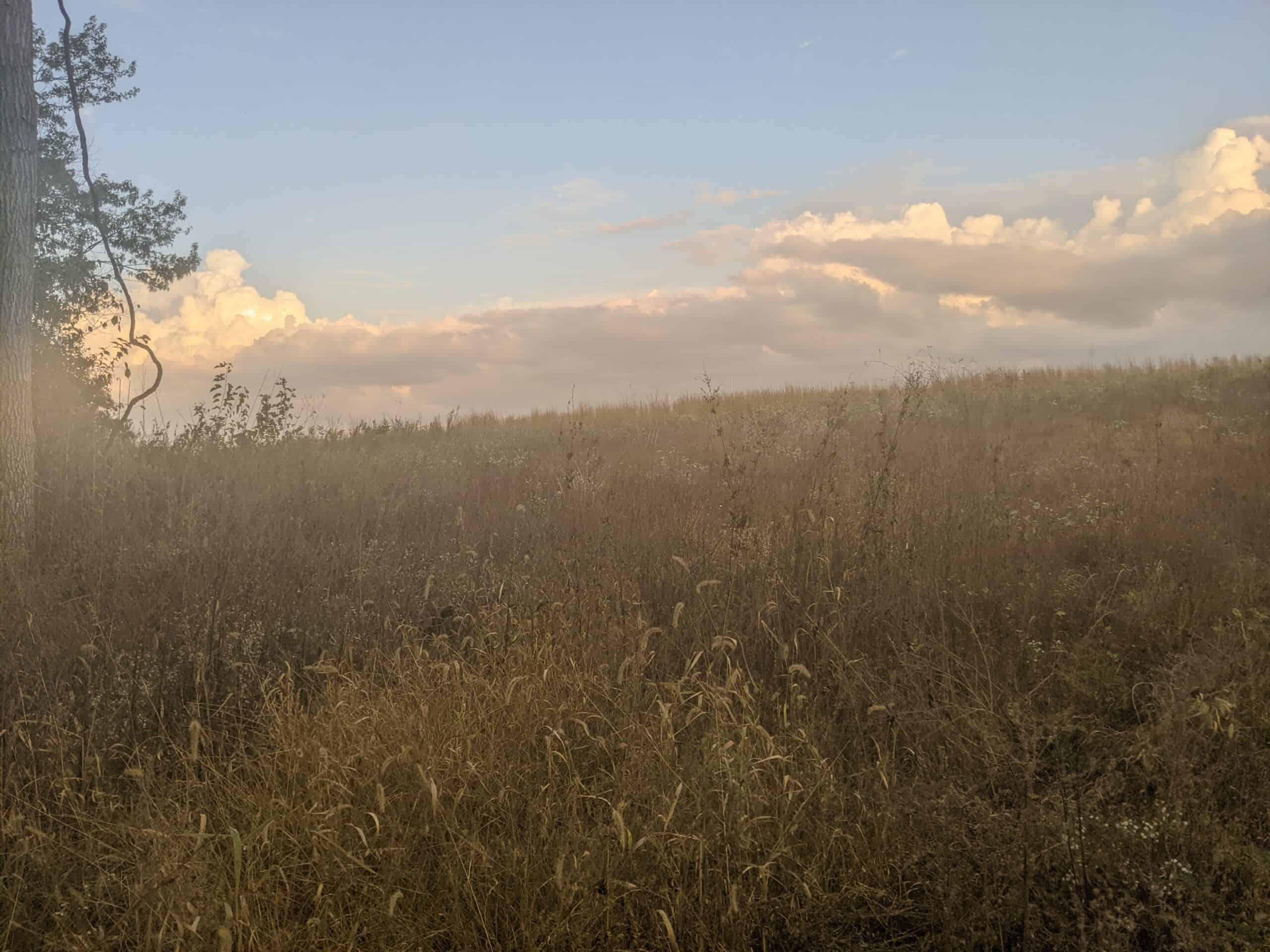 Small Acreage in Baring Missouri