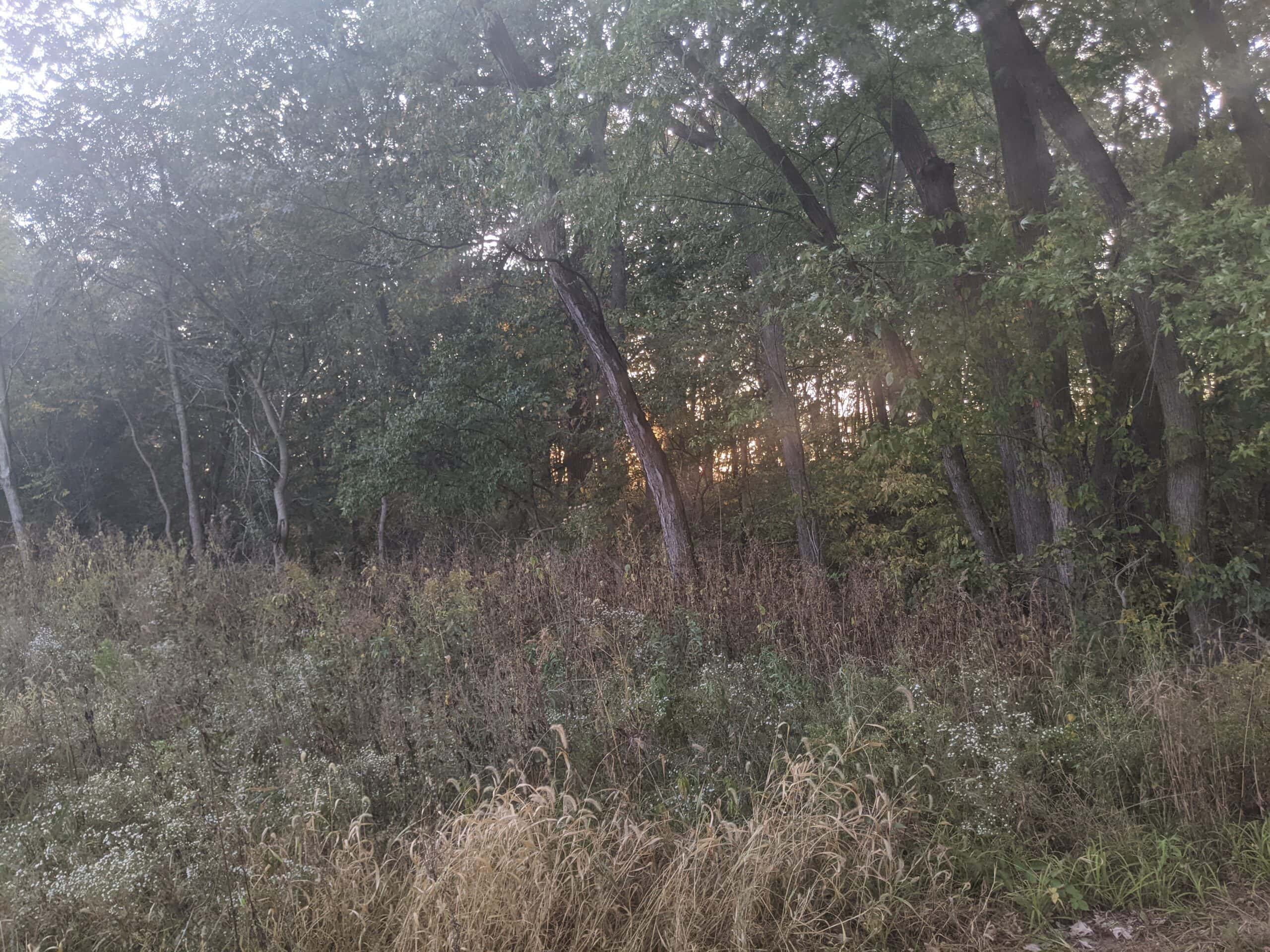 Small Acreage in Baring Missouri