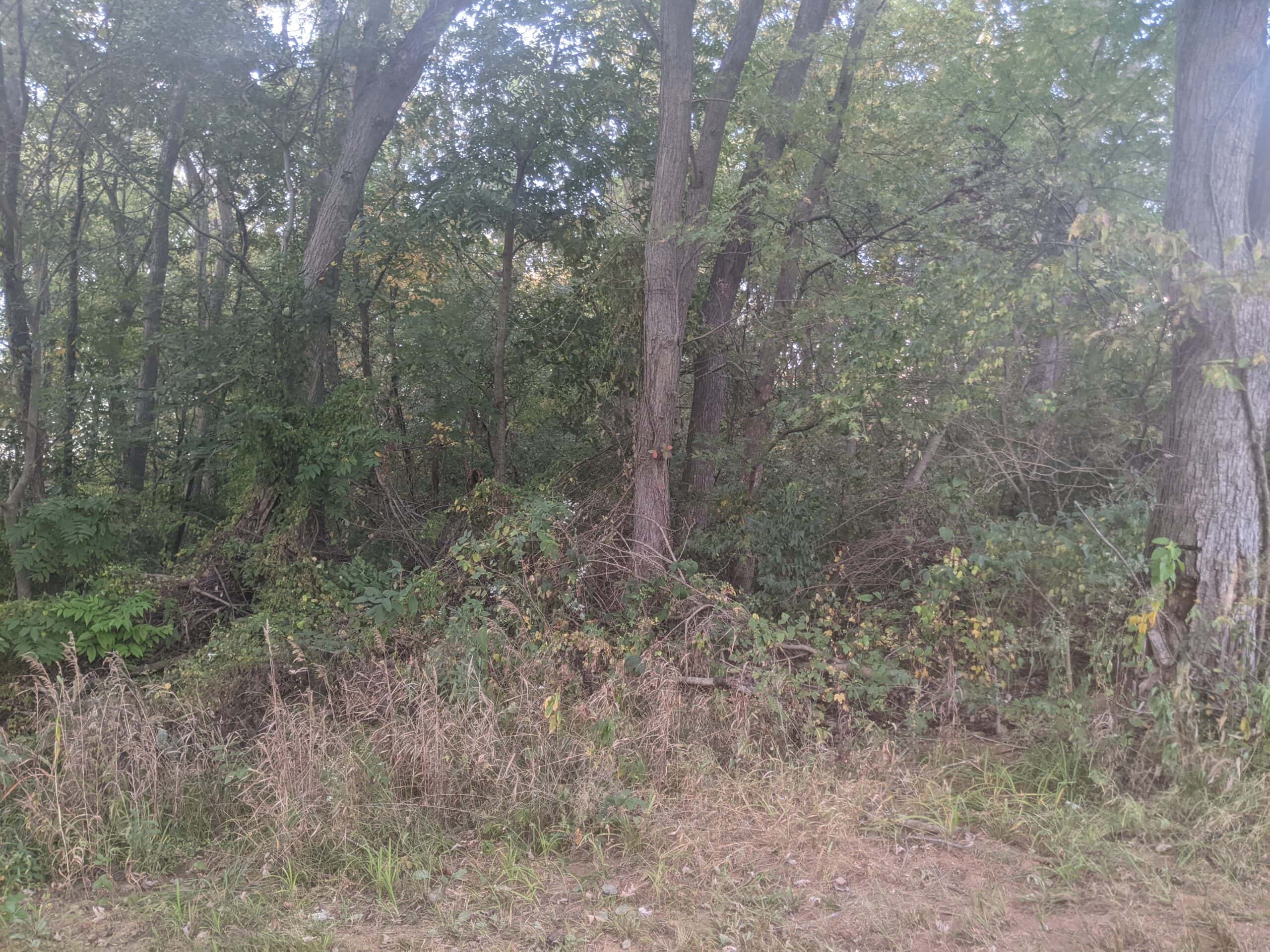 Small Acreage in Baring Missouri