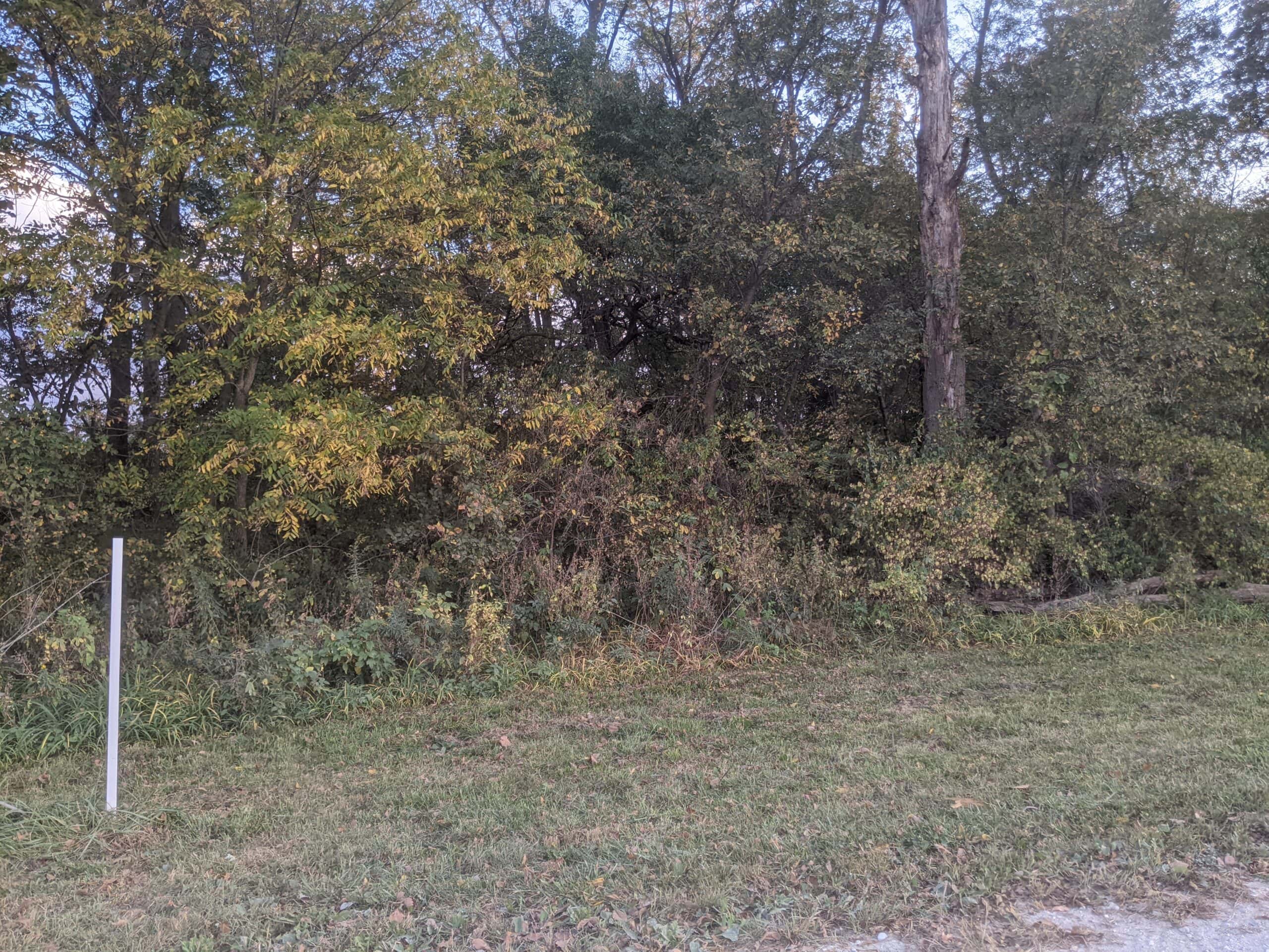 Small Acreage in Baring Missouri