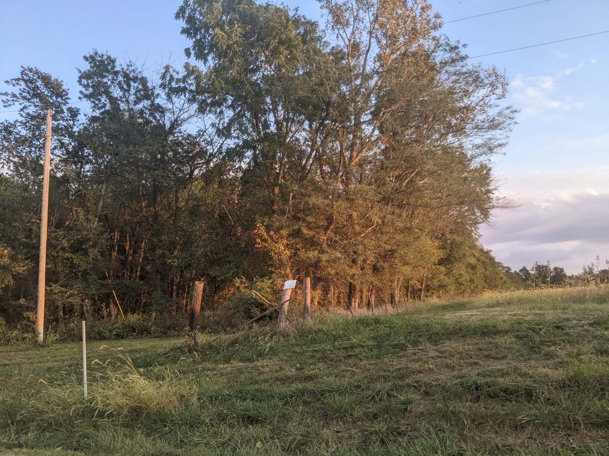 Small Acreage in Baring Missouri