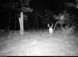 Ultimate Hunting Paradise in Allamakee County, Iowa
