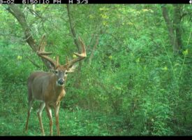 Trophy Whitetail Hunting Land for Sale in Richland County, Wisconsin