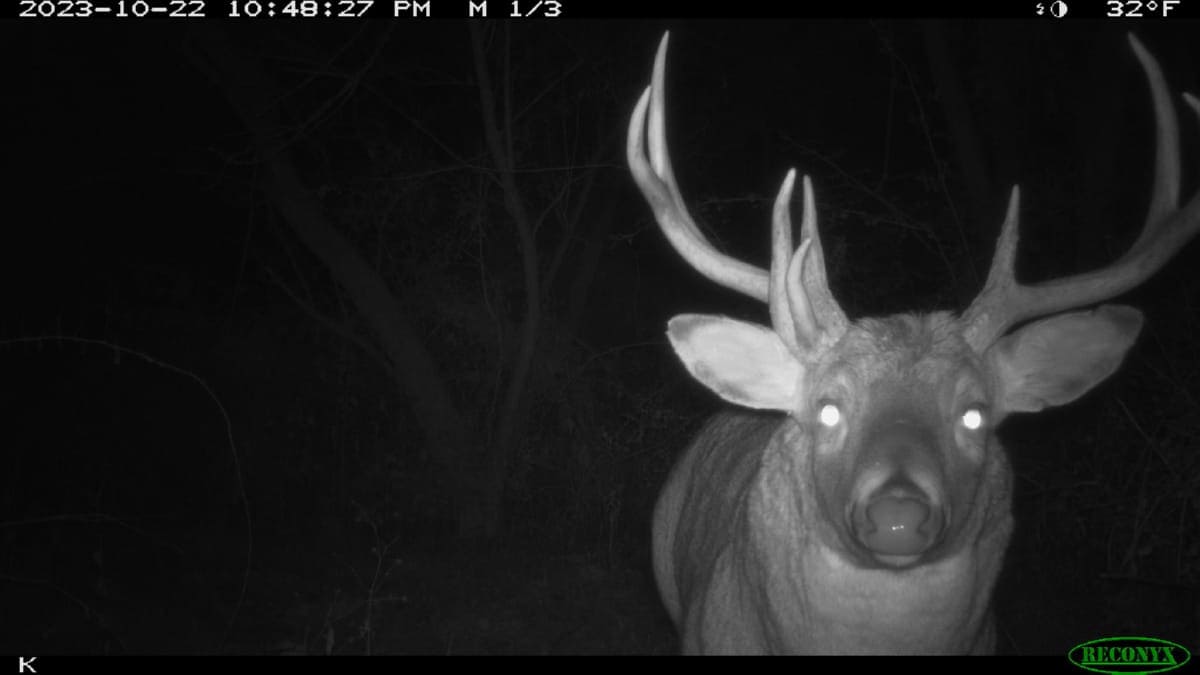 Trophy Whitetail Hunting Land for Sale in Richland County, Wisconsin