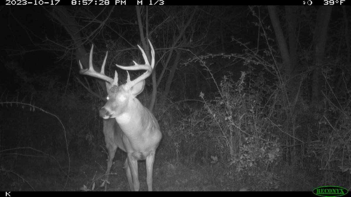 Trophy Whitetail Hunting Land for Sale in Richland County, Wisconsin