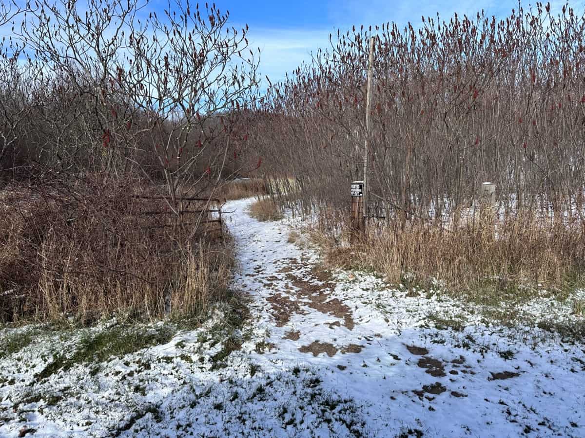 Trophy Whitetail Hunting Land for Sale in Richland County, Wisconsin