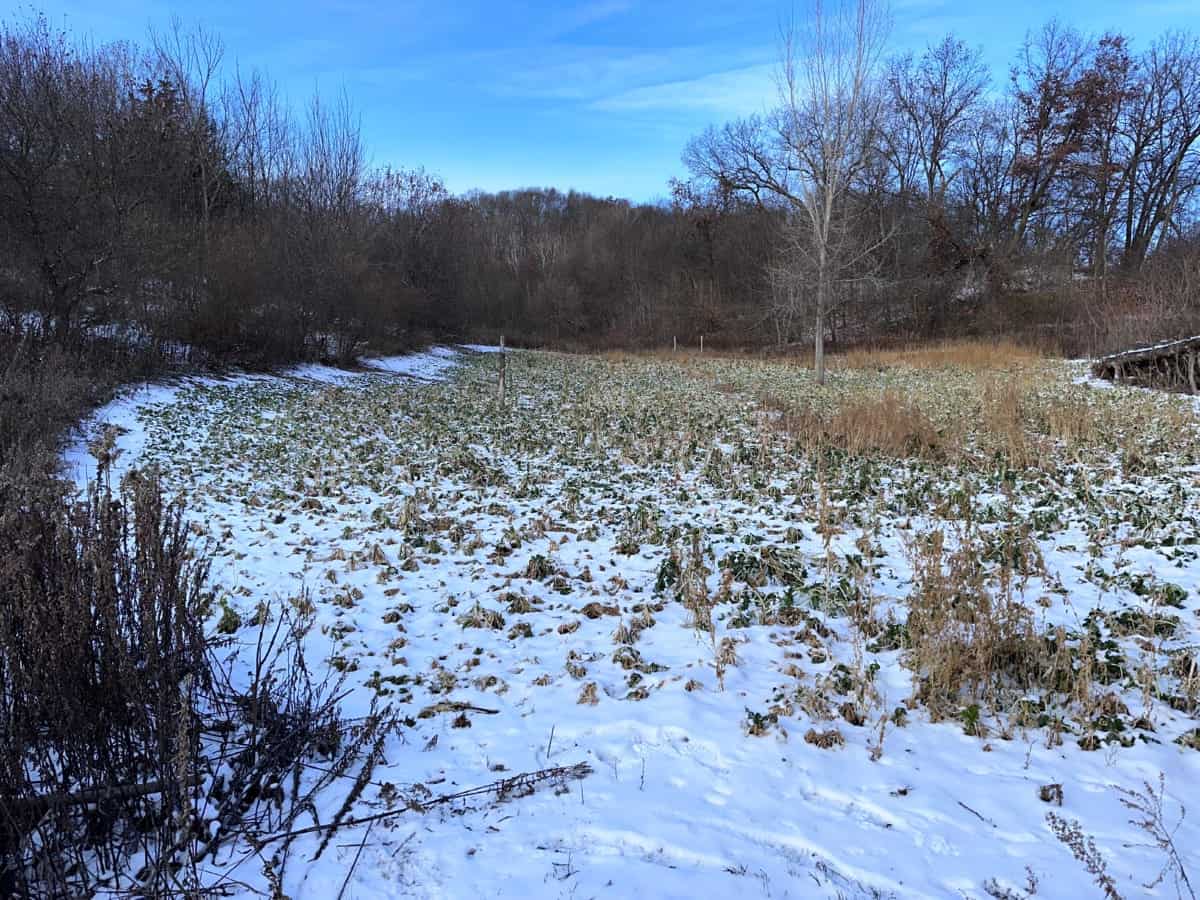 Trophy Whitetail Hunting Land for Sale in Richland County, Wisconsin