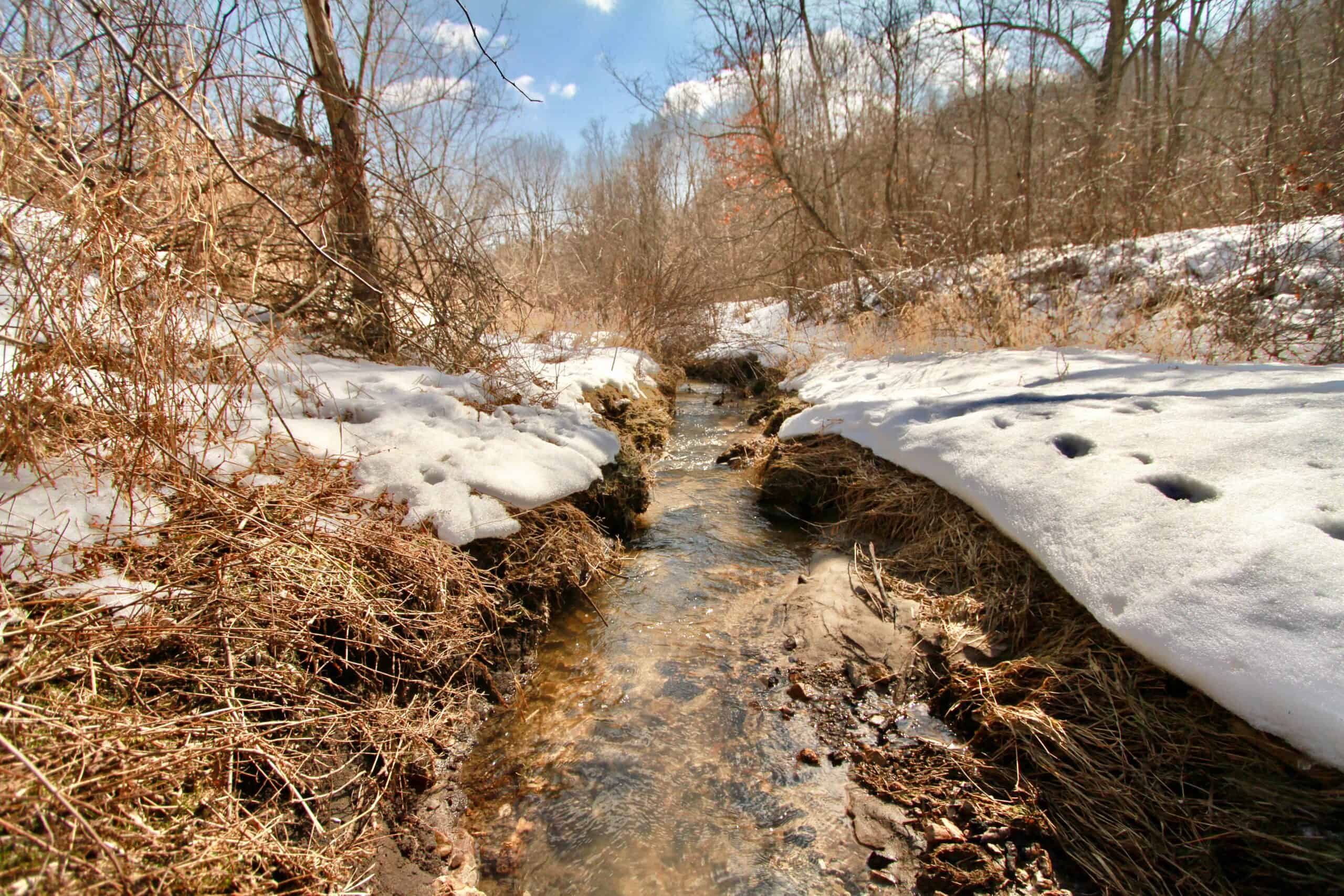 Trophy Whitetail Hunting Land for Sale in Richland County, Wisconsin