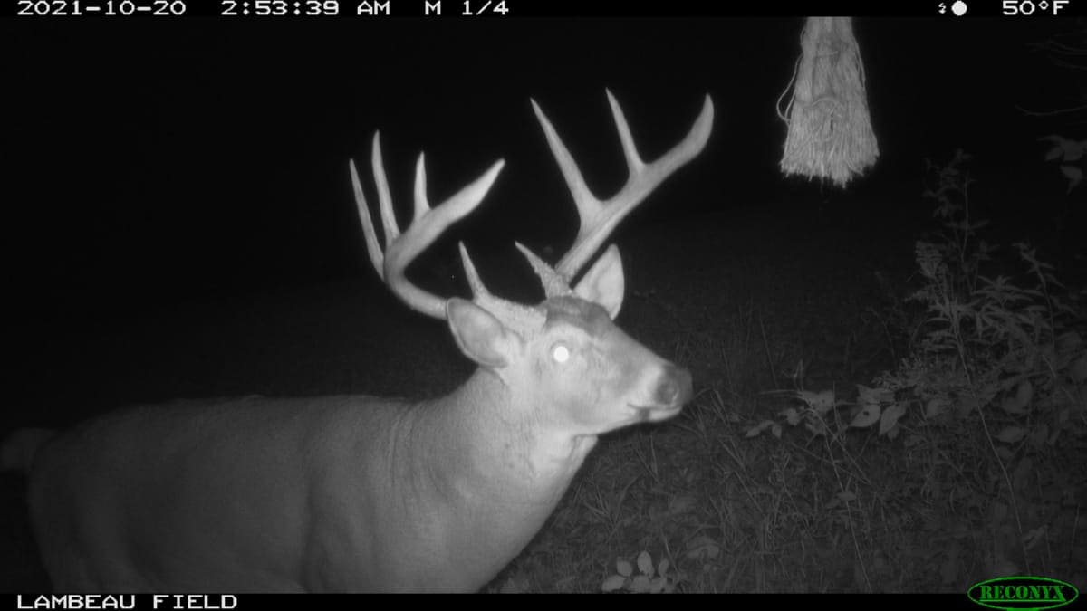 Trophy Whitetail Hunting Land for Sale in Richland County, Wisconsin