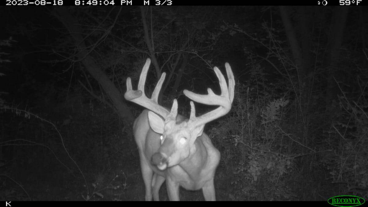 Trophy Whitetail Hunting Land for Sale in Richland County, Wisconsin