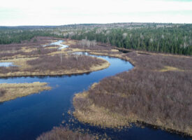 A Maine Real Estate Investment to Stand On