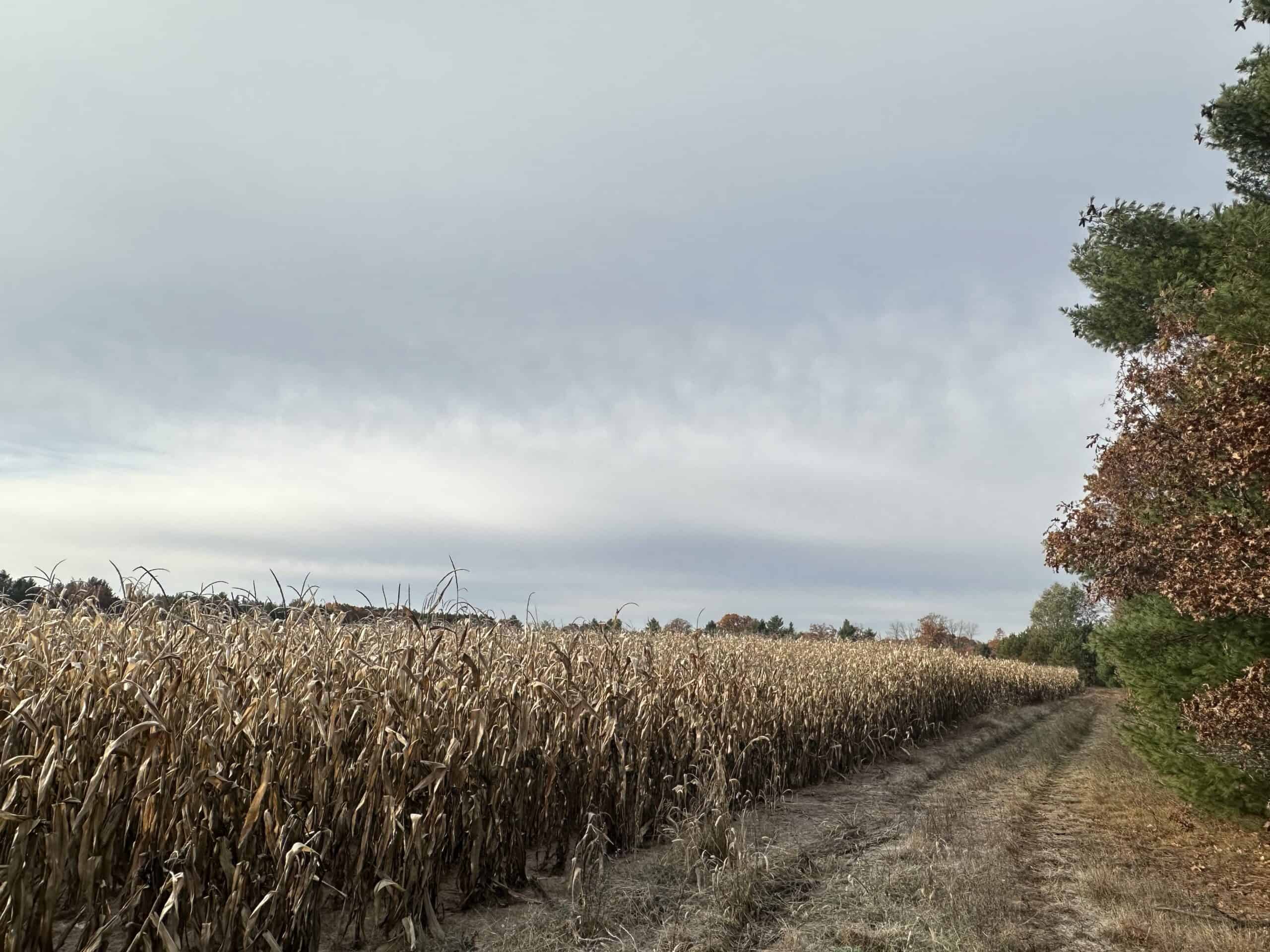 122 +/- Acres Outdoor Paradise in Waushara County WI