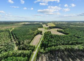 475-Acre Prime Hunting Land for Sale in Pitt County, NC